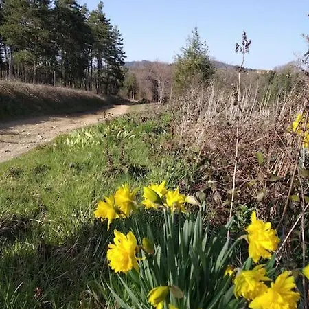 Grand Confortable En Auvergne - Belle Vue Holiday home