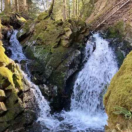 Grand Confortable En Auvergne - Belle Vue * Brousse