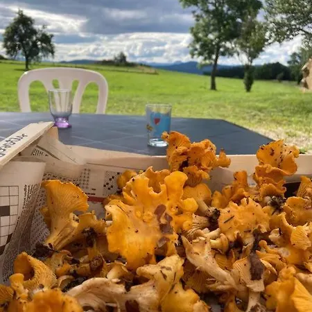 Nyaraló Grand Confortable En Auvergne - Belle Vue *