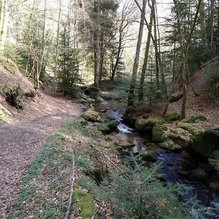 Grand Confortable En Auvergne - Belle Vue Nyaraló *