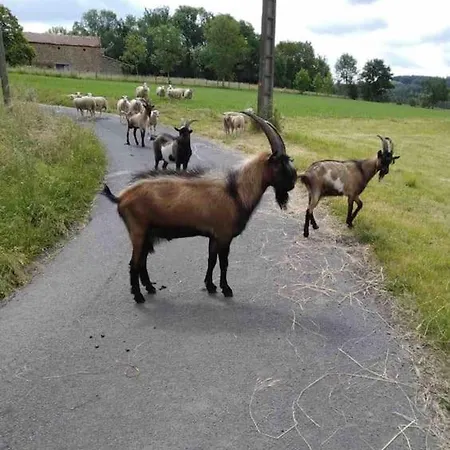 Grand Confortable En Auvergne - Belle Vue Brousse