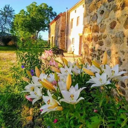 Grand Confortable En Auvergne - Belle Vue Brousse